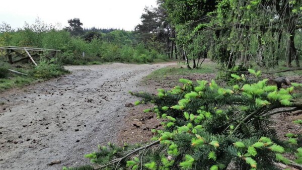 Wandelroute Lemelerberg En Archemerberg Van Truus Wijnen In Fotos