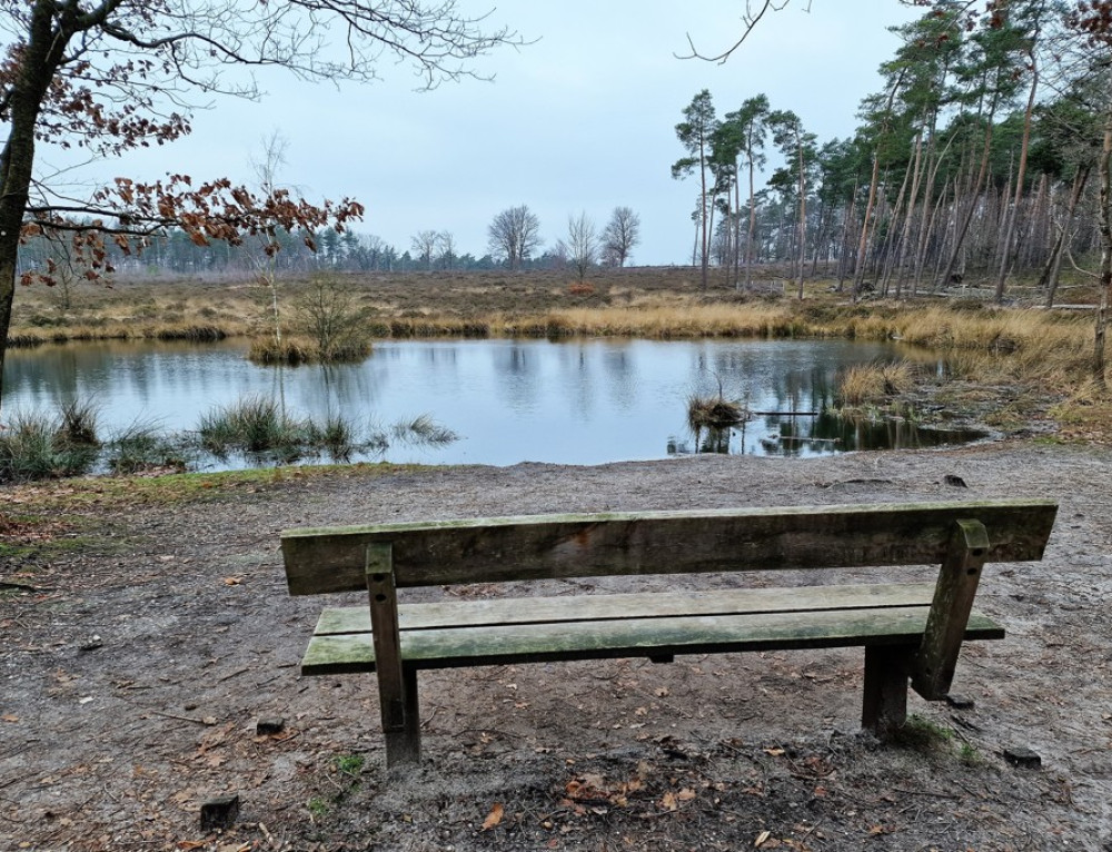 Wandelroute Lemelerberg En Archemerberg Van Truus Wijnen In Fotos