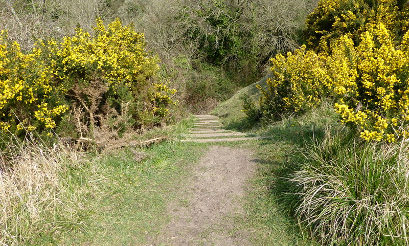 South West Coast Path 