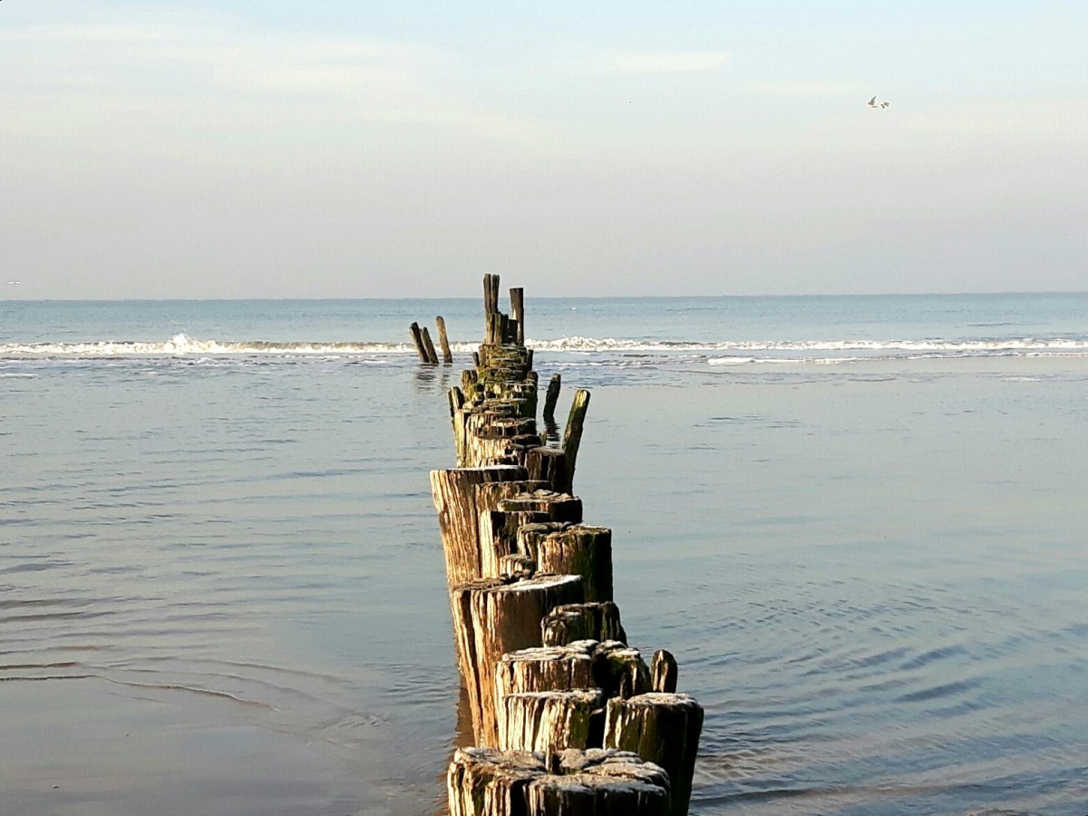 Noordzeestrand palen