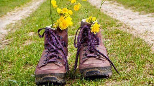 Schat consensus romantisch Tips om nieuwe wandelschoenen te kopen - Wandelvrouw
