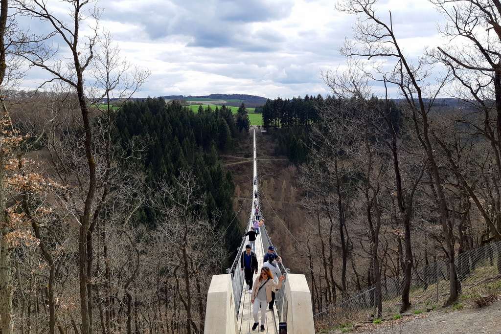 Geierlay hangbrug