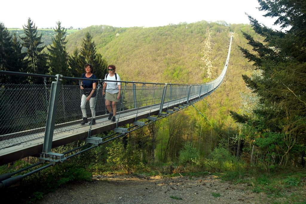 Geierlay hangbrug