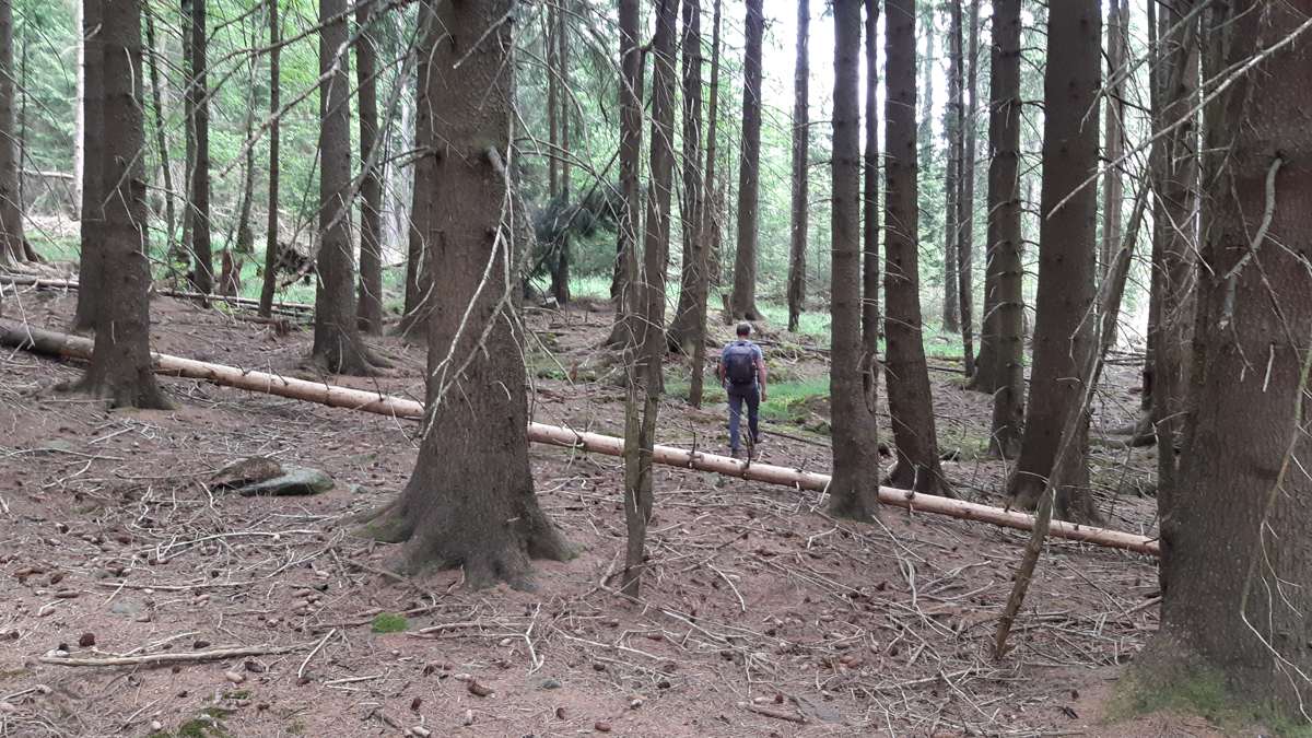 Harzer-Hexen-Stieg, wandelvakantie Harz