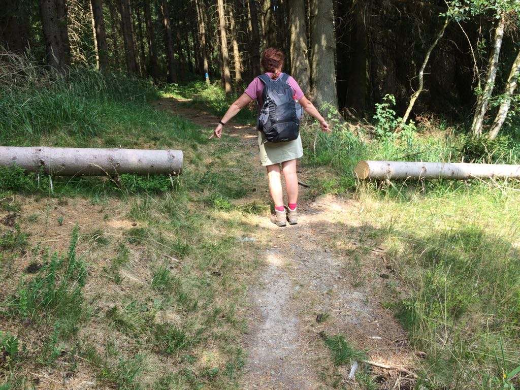 wandelvakantie Harz, Harzer-Hexen-Stieg