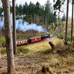 foto bij wandelvakantie Harz