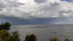 Koopmanspolder - IJsselmeer