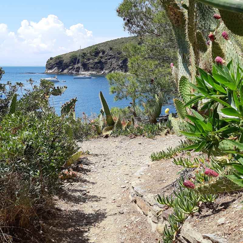 Wandeljaar 2018 - mei - Catalonie