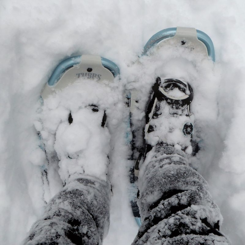 Sneeuwschoenwandelen met wandelschoenen Jack Wolfskin Thunder Bay Texapore Mid