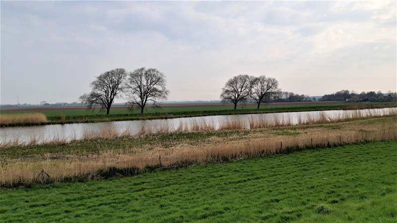 Wandelen van Wieringerwaard naar Kolhorn