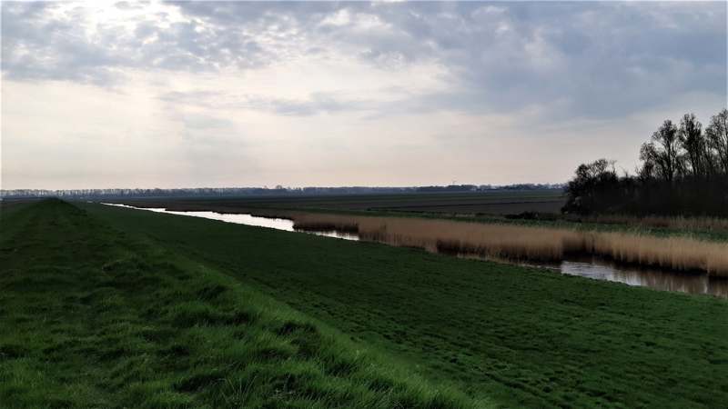 Wandelen van Wieringerwaard naar Kolhorn