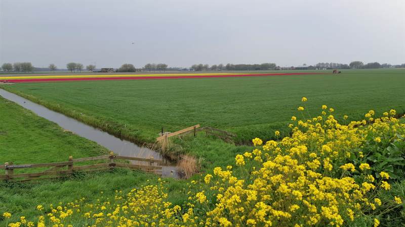 Wandelen van Kolhorn naar Obdam - Noord-Hollandpad