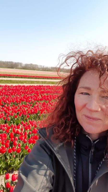 Wandelvrouw in rood tulpenveld