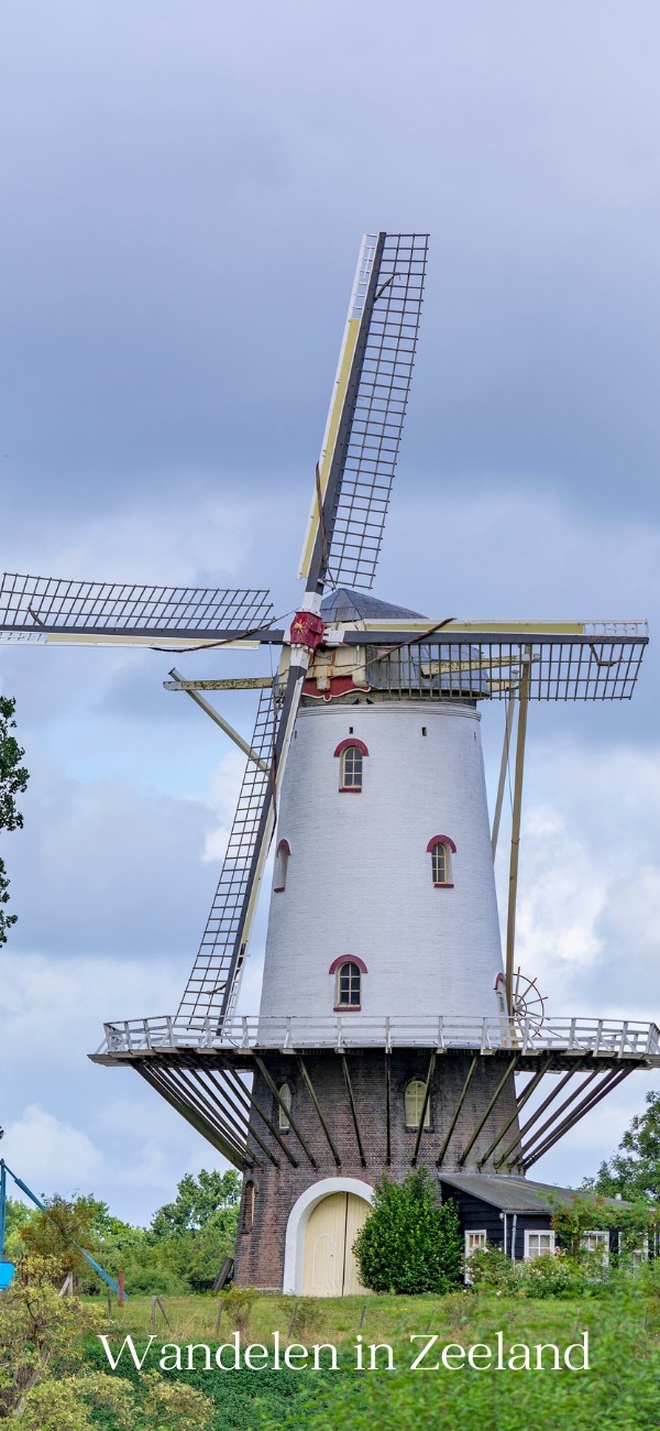 Wandelen in Zeeland - molen