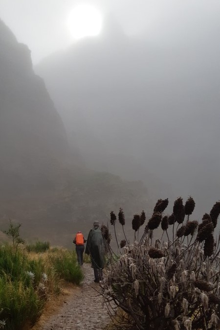 Op weg om de hoogste bergen van Madeira te beklimmen