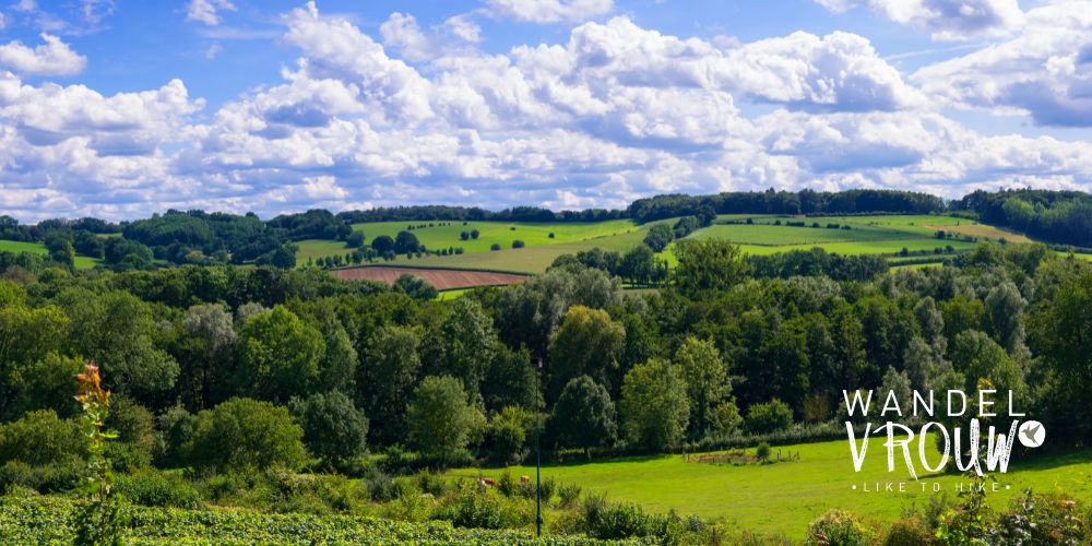 Wandelen in Limburg - heuvellandschap