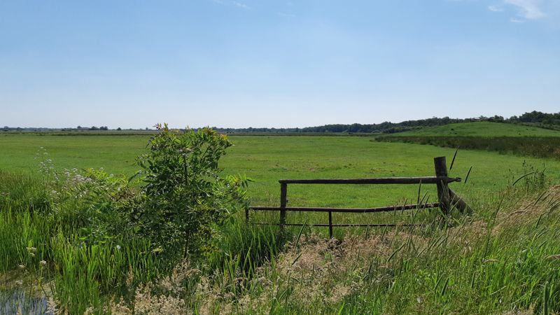 Zicht op weiland bij Lendevallei