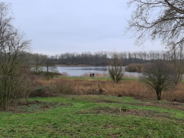 Natuurpark Lelystad Wandelen En Wild Spotten Wandelvrouw