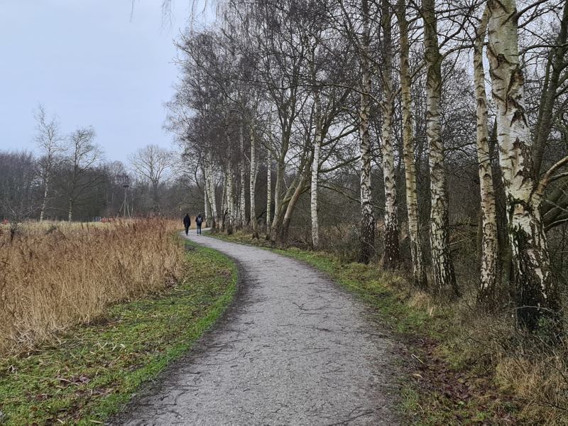 wandelen in Natuurpark Lelystad