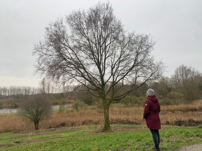 wandlelen in Natuurpark Lelystad