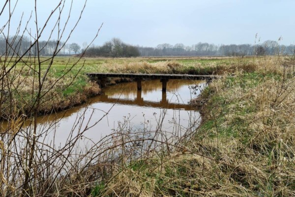 Wandelen In Drenthe - Wandelvrouw