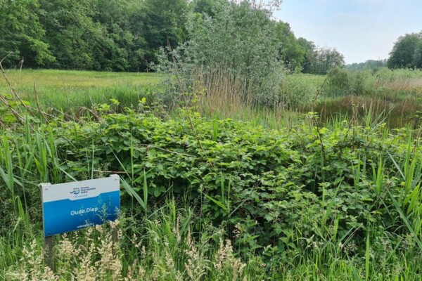 Oude Diep Wandelroute Vanuit Het Kleinste Huisje Van Drenthe - Wandelvrouw