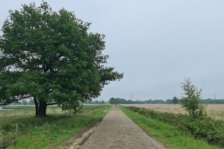 Oude Diep Wandelroute Vanuit Het Kleinste Huisje Van Drenthe - Wandelvrouw