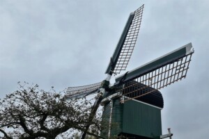 molen de Trouwe Wachter, Tienhoven