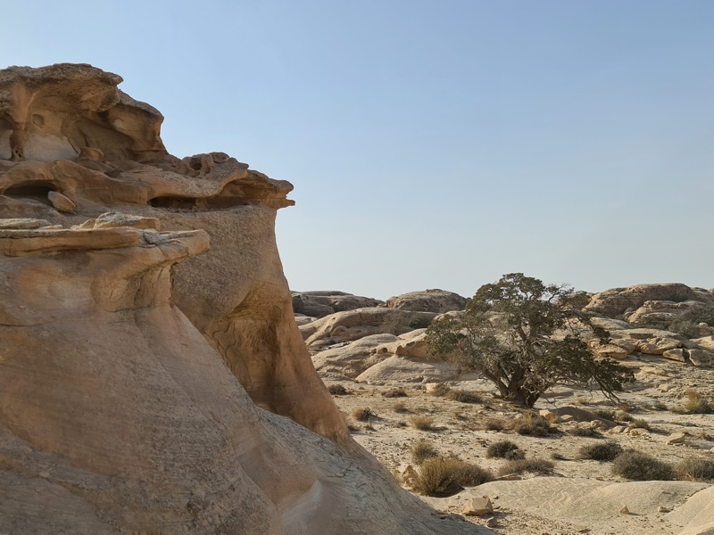 Jordan Trail, van Dana naar Petra