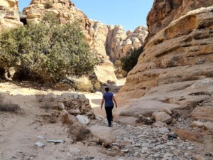 Achteringang Little Petra