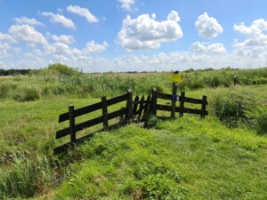 Trekvogelpad etappe 7 Naardermeer