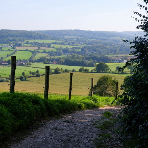 Het Krijtlandpad | Wandelen, Overnachten, Tips En Meer - Wandelvrouw