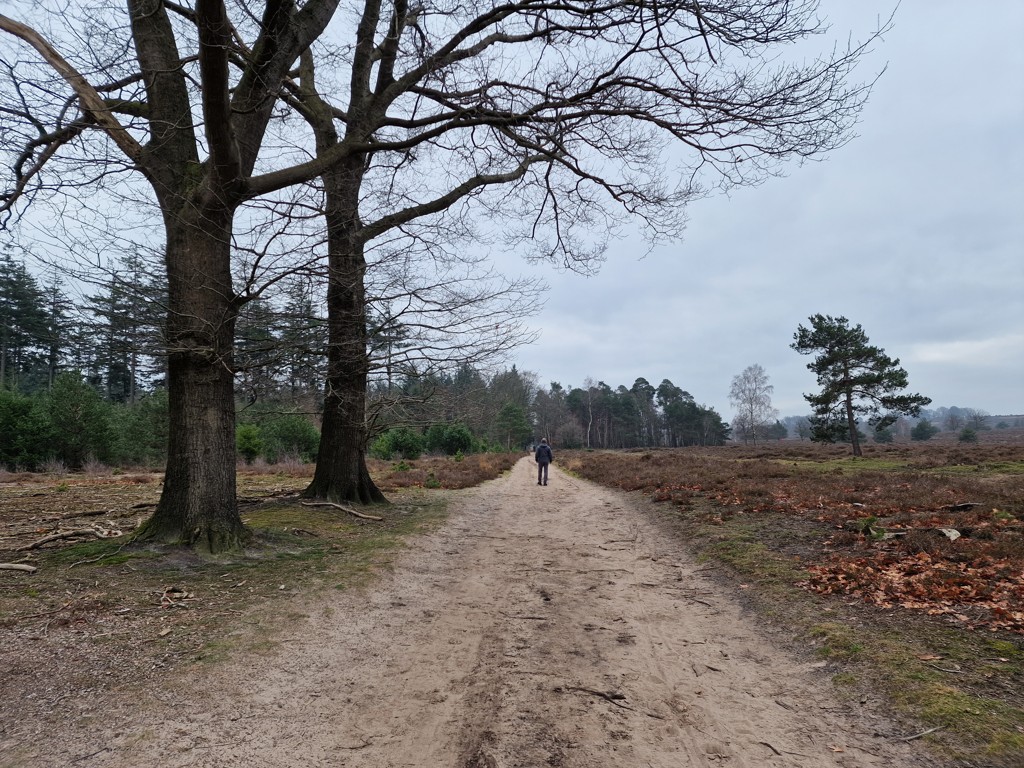 wandelen Sallandse Heuvelrug