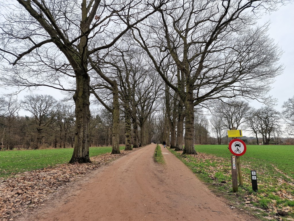 wandelen over Landgoedroute de Sprengerberg 