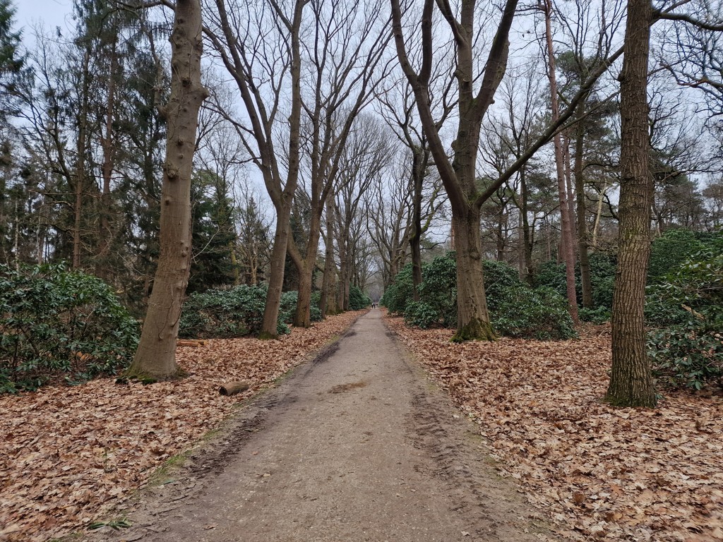 wandelen over Landgoedroute de Sprengerberg 