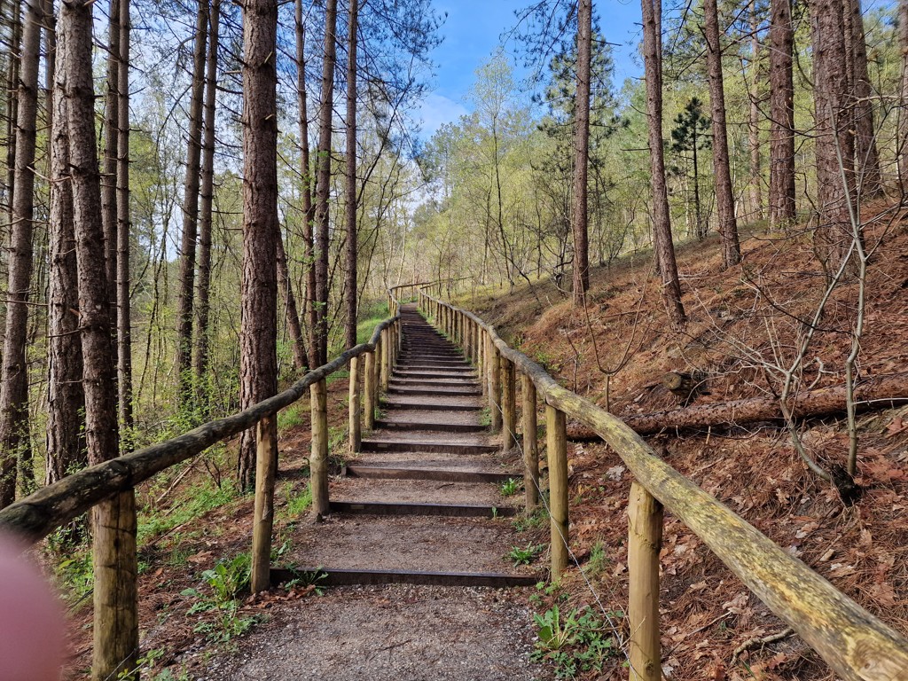 Duinheidewandeling start met de trap