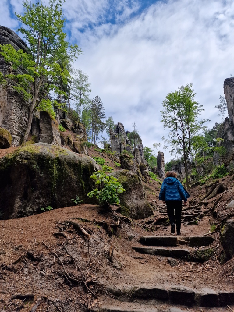 Uitzicht over de Prachov rotsen - Prachovské skály