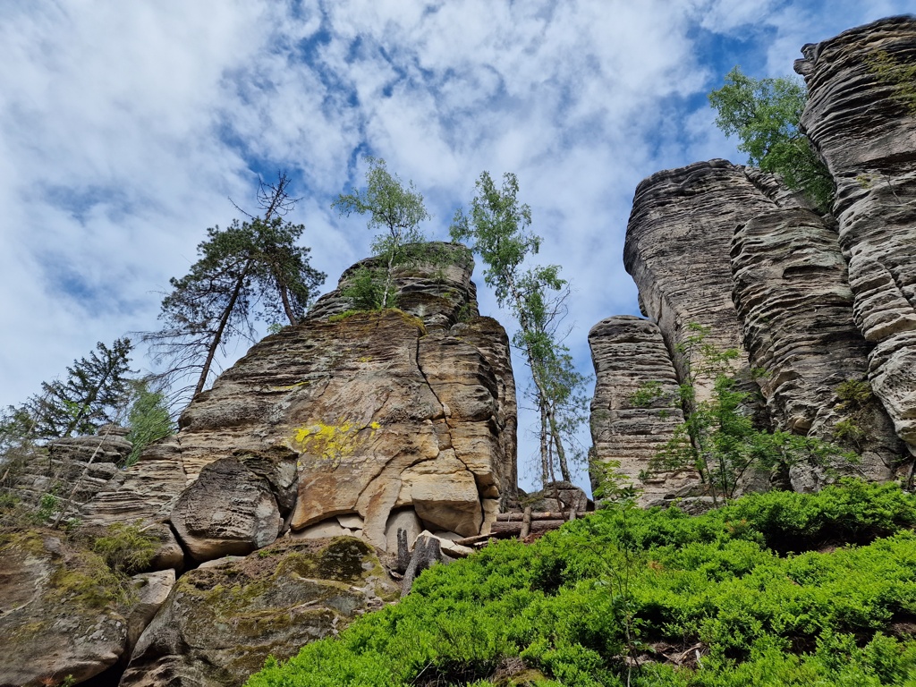 Uitzicht over de Prachov rotsen - Prachovské skály