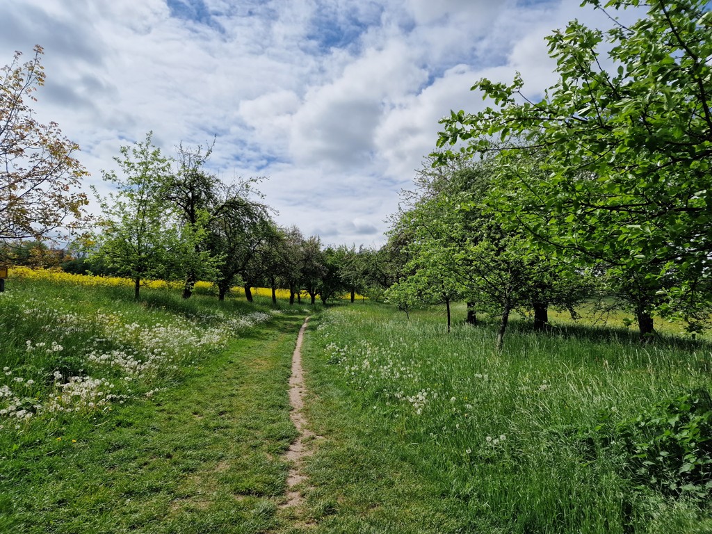 Wandelen door het Boheems Paradijs