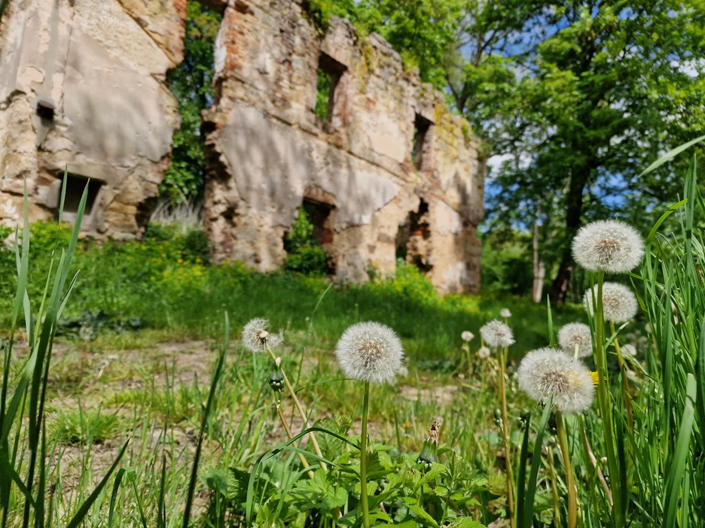 Ruiine in het Boheems Paradijs