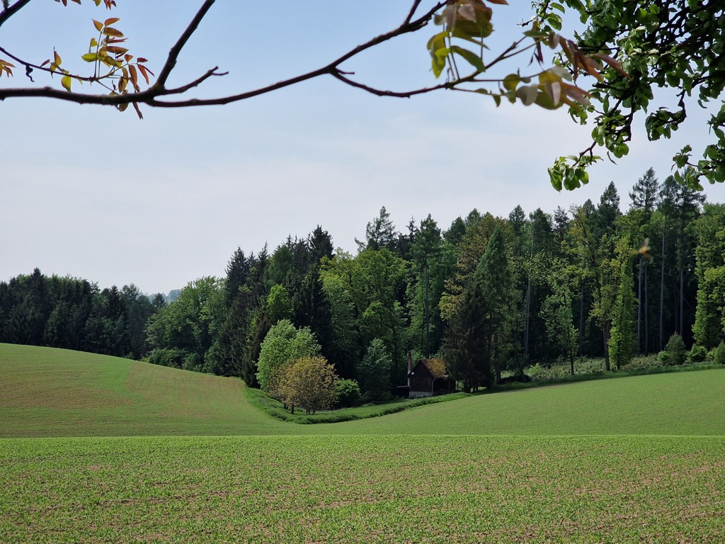 wandelen in Boheems Paradijs - platteland en bossen