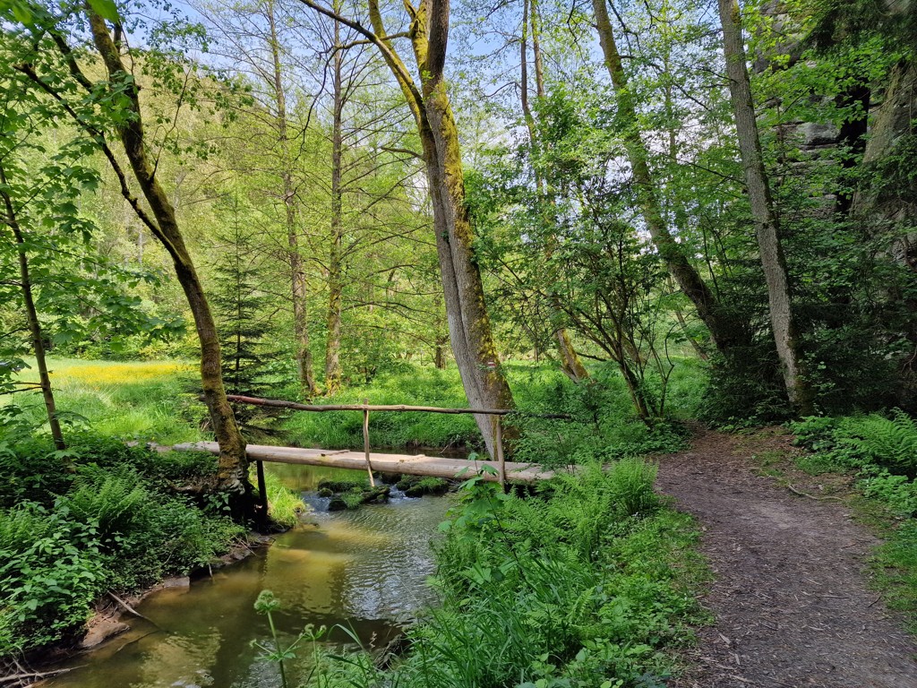 wandelen in Boheems Paradijs over beken en door het bos