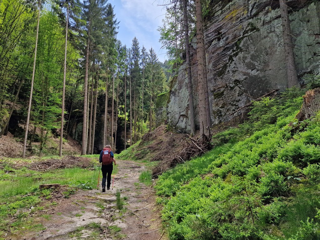 wandelen in Boheems Paradijs langs rotspartijen