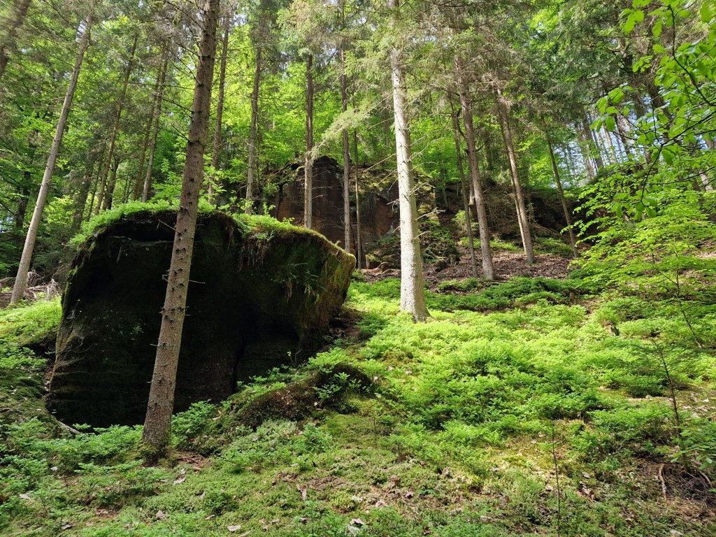 wandelen in Boheems Paradijs door het bos