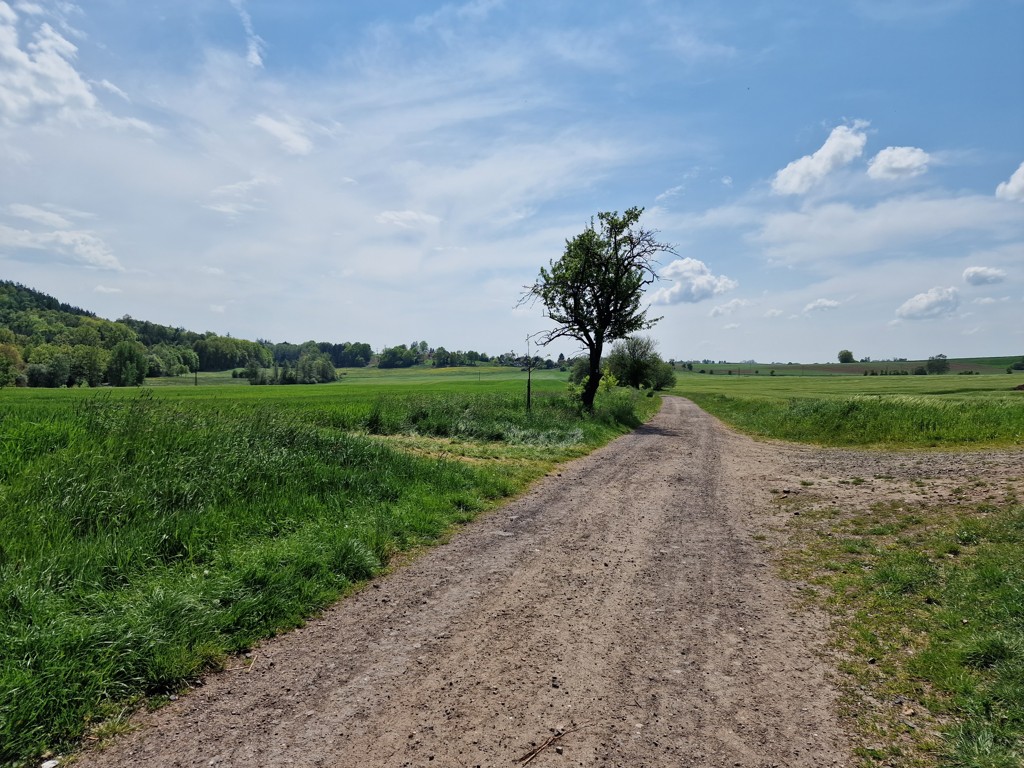 wandelen over een warme weg.