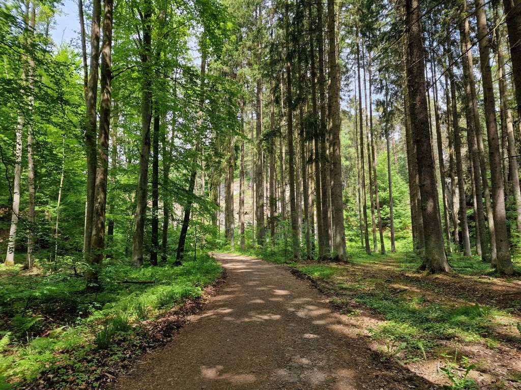 Golden Trail Bohemian Paradise