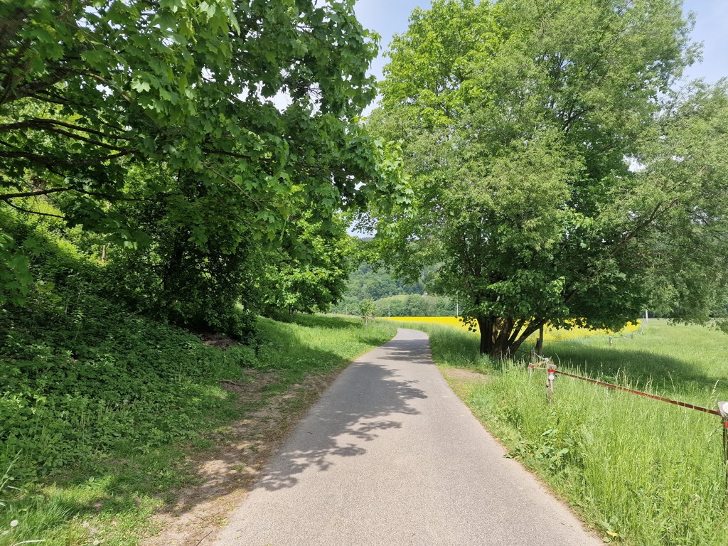 wandelen over het Gouden Pad