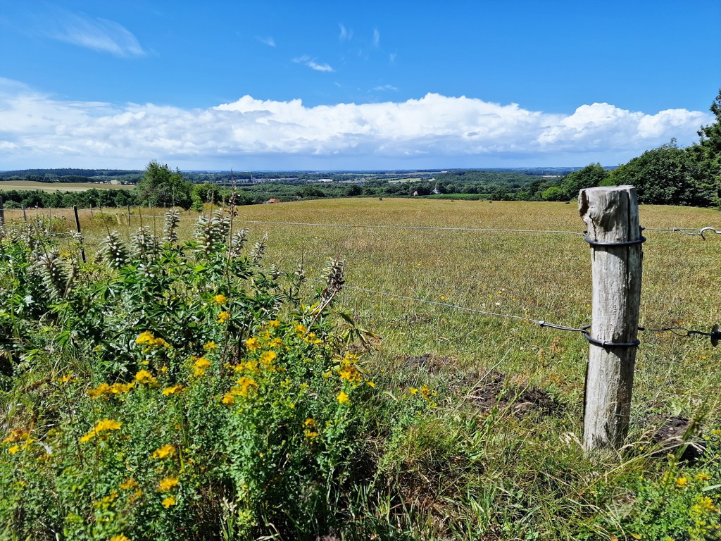 Mariager platteland uitzicht