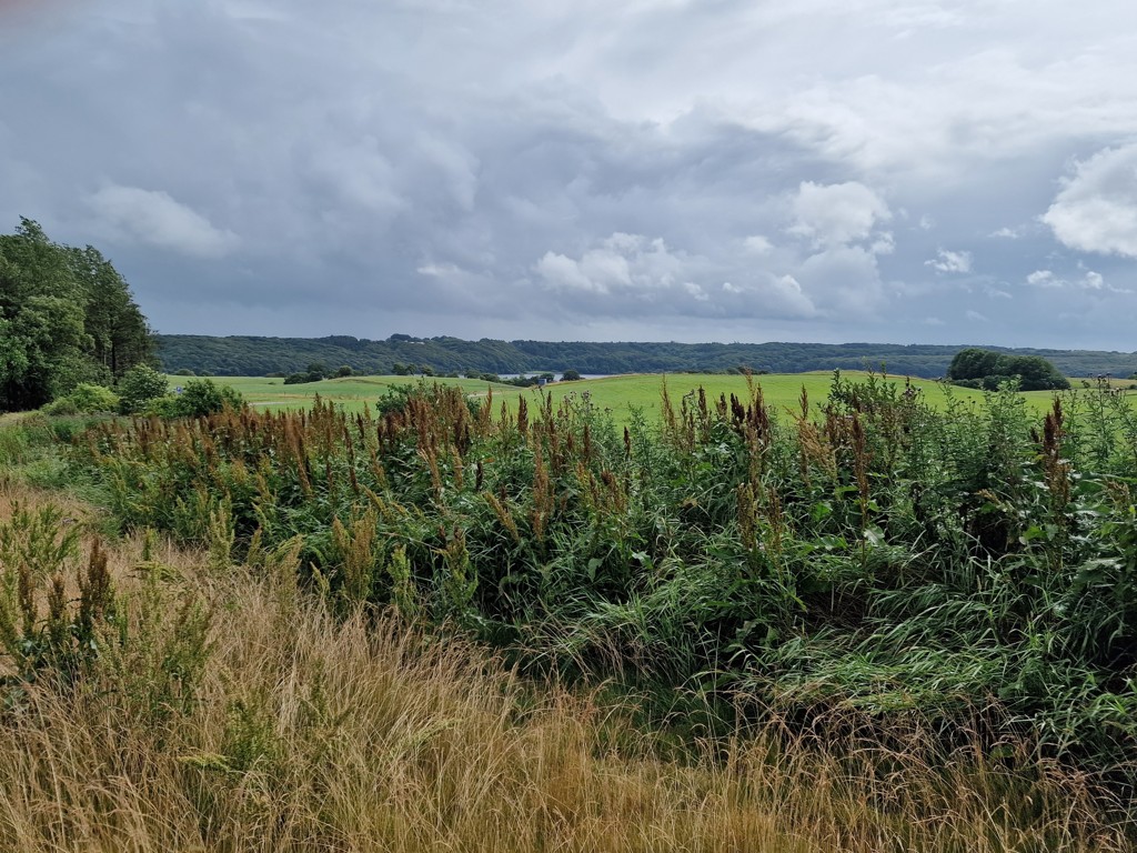 uitzicht over Bramslev Bakker