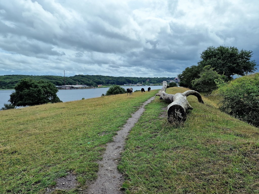 Langs de schapen op de 'Panoramaruten'